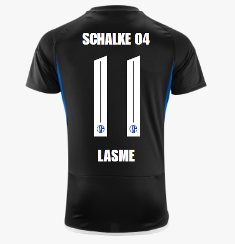 BBIN体育真人-包含沙尔克官方宣布新援加盟，提升球队整体实力的词条